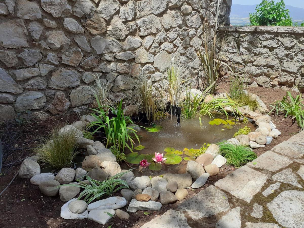 Agoriani Art Suite - 4 Seasons' Natural Living Lílaia المظهر الخارجي الصورة
